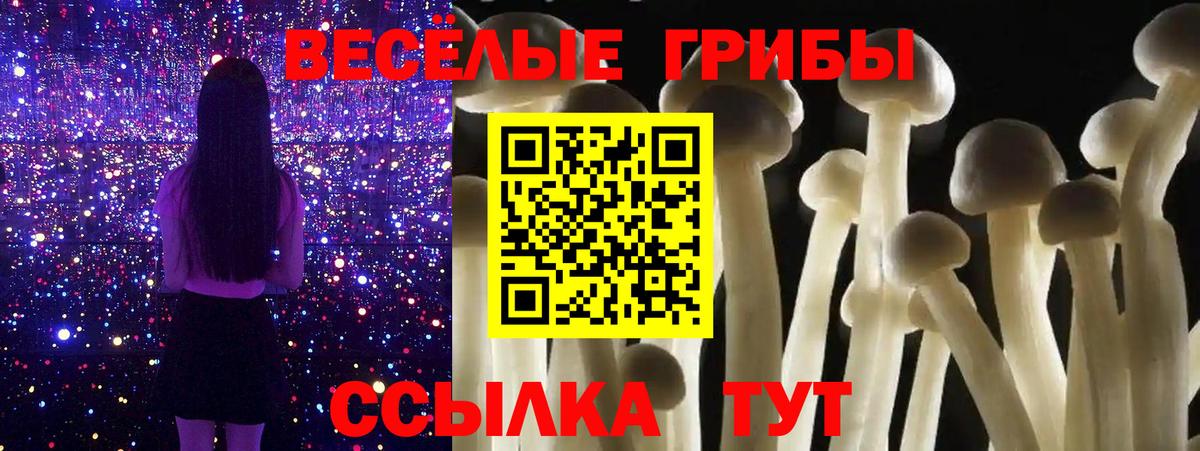 Галлюциногенные грибы GOLDEN TEACHER  Вход с VPN  Астрахань 