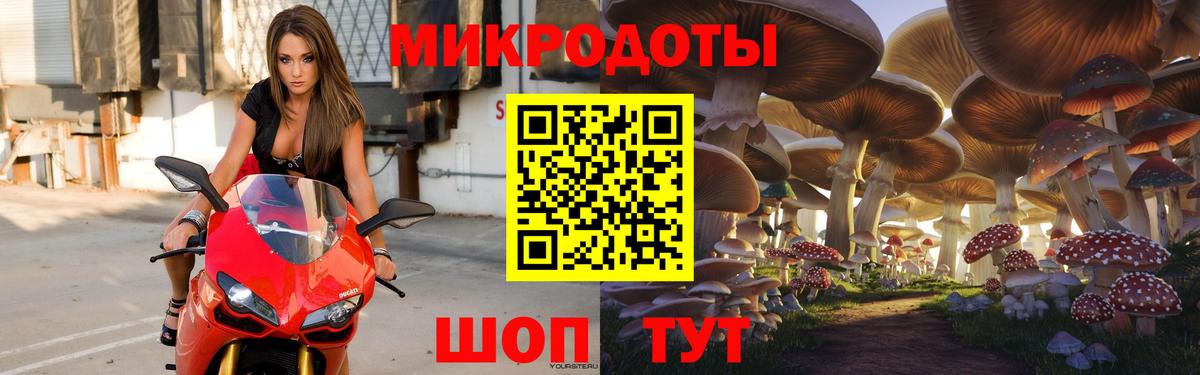 Псилоцибиновые грибы Psilocybine cubensis Астрахань